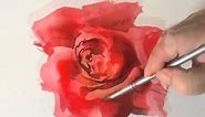 How to Paint a Red Rose in Watercolours by Trevor Waugh