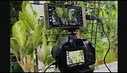 DIY - Use your Smartphone as a DSLR Monitor