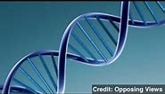 Gene-Patenting Case Comes to Supreme Court