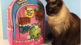 Shopkins Surprise Backpack MLP Tokidoki Disney Minions & More Unboxing | PSToyReviews