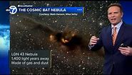 Spooky space sighting: Cosmic bat nebula