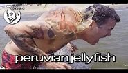 Peruvian Jellyfish Stunt - Steve-O