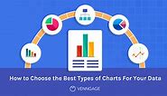 How to Choose the Best Types of Charts For Your Data - Venngage