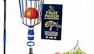 EVERSPROUT 12-Foot Fruit Picker (20+ Foot Reach) | Telescoping Fruit Picker Pole, Easy to Attach Twist-On Apple Basket | Lightweight, High-Grade Aluminum Extension Pole with Fruit Picker Basket