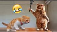OMG So Cute ♥ Funniest Cats and Dogs 1 Hour Videos 2023