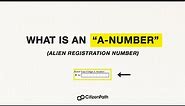 What is an Alien Registration Number (A-number)?