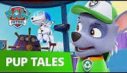 PAW Patrol - Pups Save Robo Dog - Rescue Episode - PAW Patrol Official & Friends!