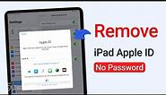 [Top 2] How to Remove Apple ID from iPad without Password (iPadOS 16&17)