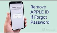 How to Remove Apple ID from iPhone If Forgot Password