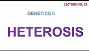 Heterosis | hybrid vigor | genetics lectures