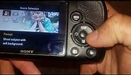 Sony Cybershot H400 How to Guide: Button and Ports Layout Explained
