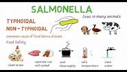 Salmonella - a quick introduction and overview