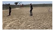 Blanka Satora - Happy Andalusian stallion ❤️ Moët 🥂🍾 in...