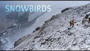 SNOWBIRDS: An Oregon Winter Adventure in Search of Mountain Quail, Valley Quail, and Chukar