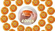 40 PCS Dxmimer Smoke Detector Cover Fire Alarm Cover, Thickened Elastic Plastic Reusable Smoke Alarm Dust Paint Cover for Home Cooking or Baking (Orange)