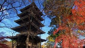 Secret of the Pagoda's Earthquake Resistant Design