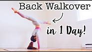 How to do a Back Walkover in One Day!