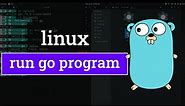How to Build and Run a Go ( golang ) Program in Linux Operating System