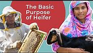 The Basic Purpose of Heifer International