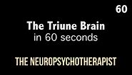 The Triune Brain in 60 seconds