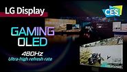 [CES 2024] OLED’s first 480Hz ultra-high refresh rate! High-end gaming display | LG Display