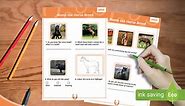 Name the Horse Breed - Activity Sheet