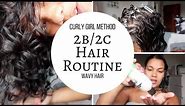 Curly Girl Method Wavy Hair Routine - type 2b/2c/3a Hair