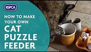 Make a Cat Puzzle Feeder