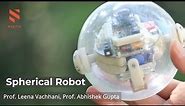 Spherical Robot