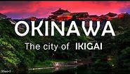 Okinawa | The city of IKIGAI | Slice - 1