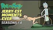RICK AND MORTY: The Jerry-est Moments EVER! (Seasons 1-4)