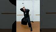 Kenjutsu Seigan No Kamae