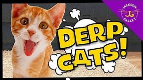 Cats Derp Out! | Cute Cat Compilations