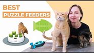 The 5 Best Cat Puzzle Feeders & Slow Feeders