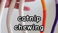 banmagately Cat Toys for Indoor Cats, Natural Catnip Kittens Cat Chew Toy for Teeth Cleaning, Dental Health, Improve Digestion, Interactive Cat Teething Toy Cat Dental Toy for Aggressive Cats(3 Pcs)