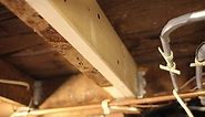 How to Sister a Floor Joist | Follow These Simple 9 Step Guide