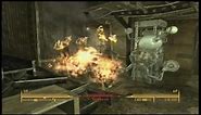 Fallout 3: Dogmeat Vs. Wadsworth