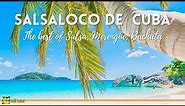 Salsaloco De Cuba - The Best of Salsa Merengue Bachata