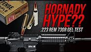 Hornady Hype? .223 Rem Hornady 73gr Critical Defense Gel Test