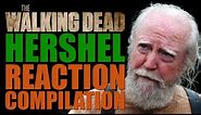 The Walking Dead Season 4 | Hershel Reactions Compilation