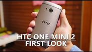 HTC One Mini 2 - First Look!