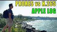 Apple LOG h.265 vs ProRes 422 HQ | Blackmagic Camera App on iPhone 15 Pro Max