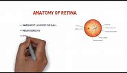 Anatomy of Retina || mnemonic for 10 layers ||