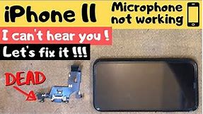 Iphone 11 Mic Not Working