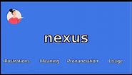 NEXUS - Meaning and Pronunciation