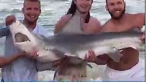 WATCH: Beachgoers Save Shark With Fishing Line Hook Caught in Its Mouth