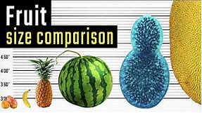 Fruit Size Comparison. The Biggest Fruit on the Planet.