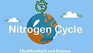 Describe Nitrogen Cycle-Nitrogen cycle in simple terms