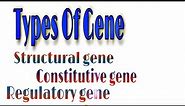 Types of Gene- Structural, Constitutive, Regulatory, Jumping, Overlapping, Split gene#Bio knowledge
