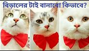 Easy Tutorial: Bow & Bow Tie - DIY Cat Collar/ Kitten Collar / Pet Collar / Dog Collar Tutorial